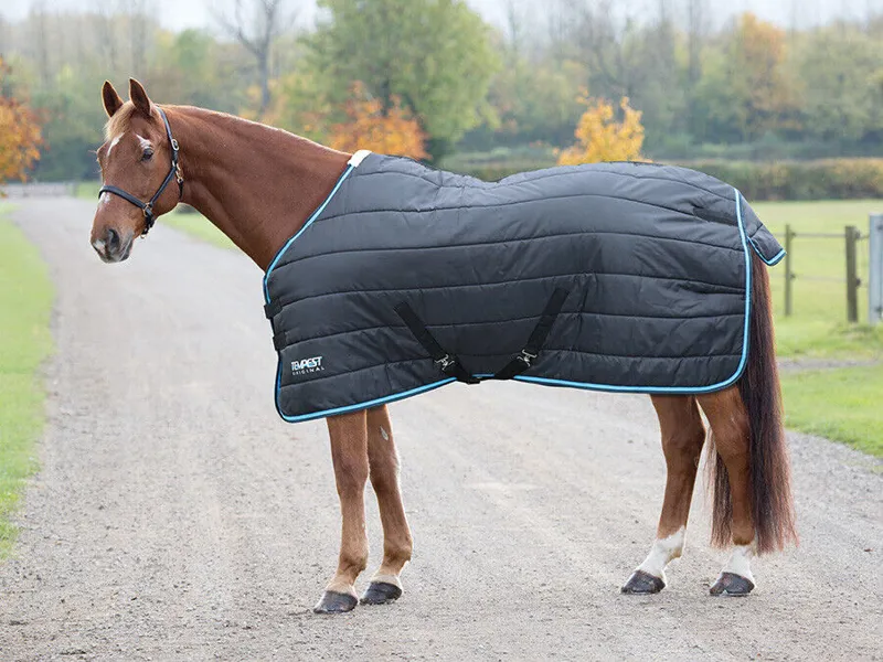 Shires Tempest Stable 200 Black/Turquoise